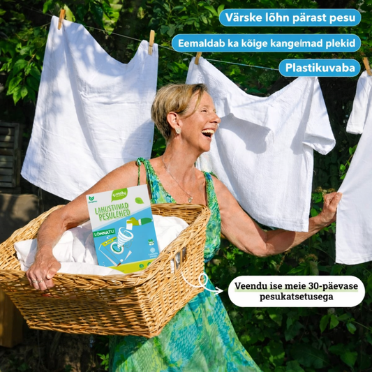 Pesulehed